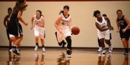 women's basketball action photo