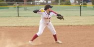 Lark softball action photo